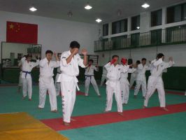 karate classes beijing Shichahai Sports School